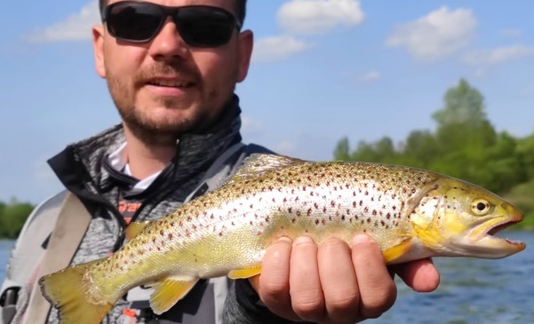 Łowimy pstrągi potokowe z Piotrem Mireckim na Dunajcu